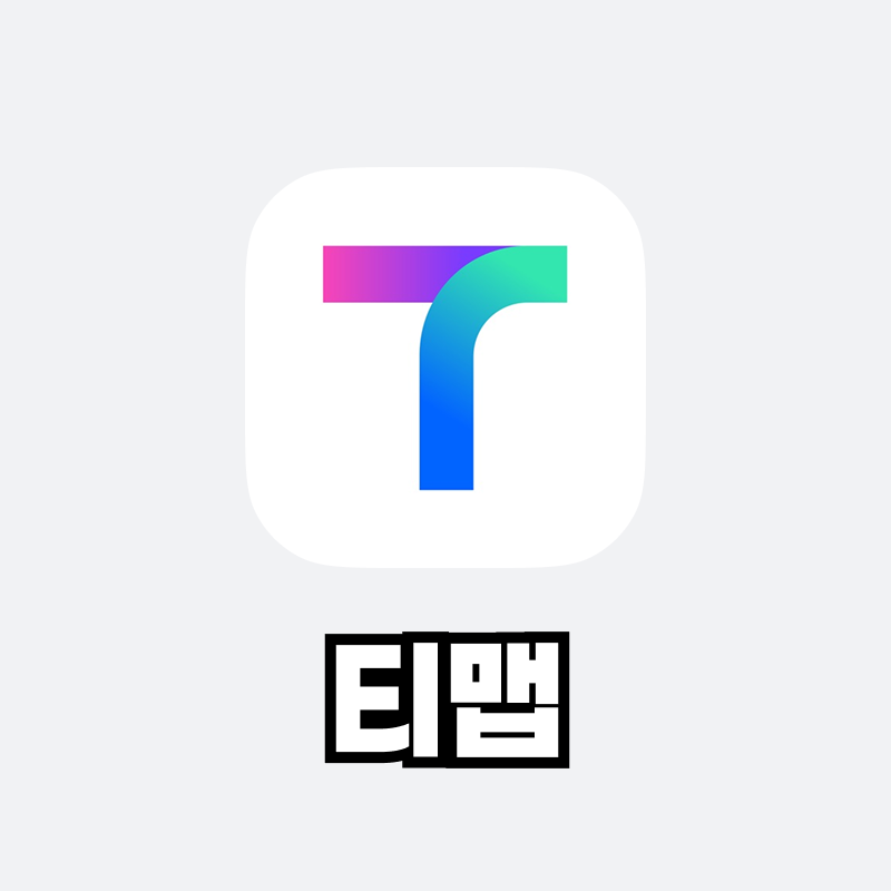 티맵
